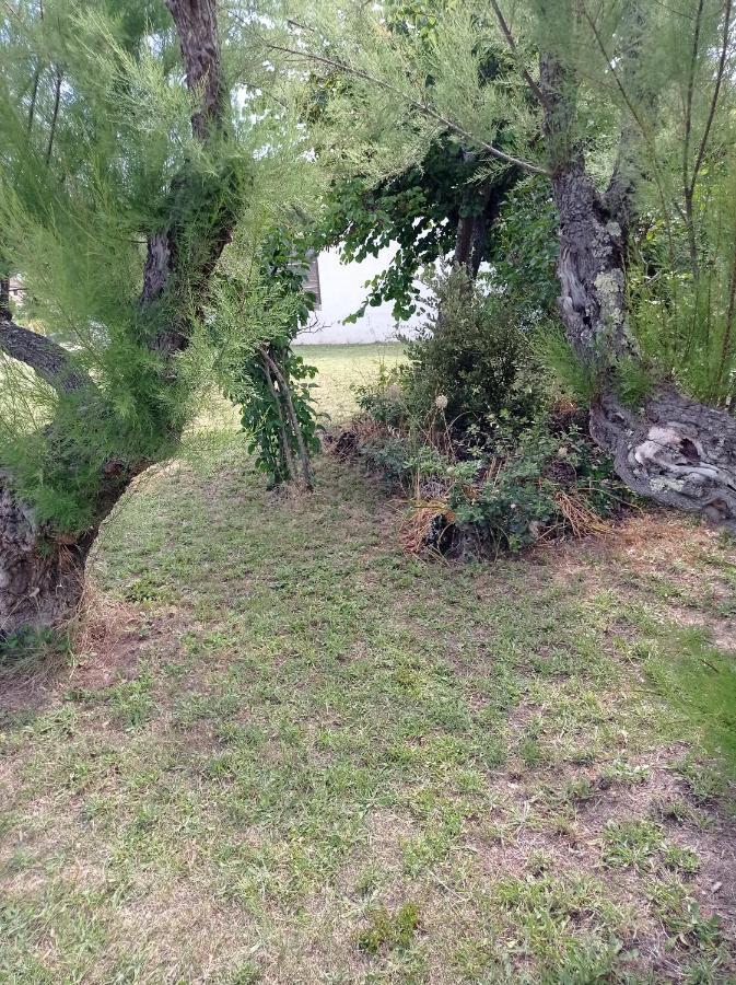 La Maison De Papou La Vigne A Nans Les Pins 83860 Extérieur photo