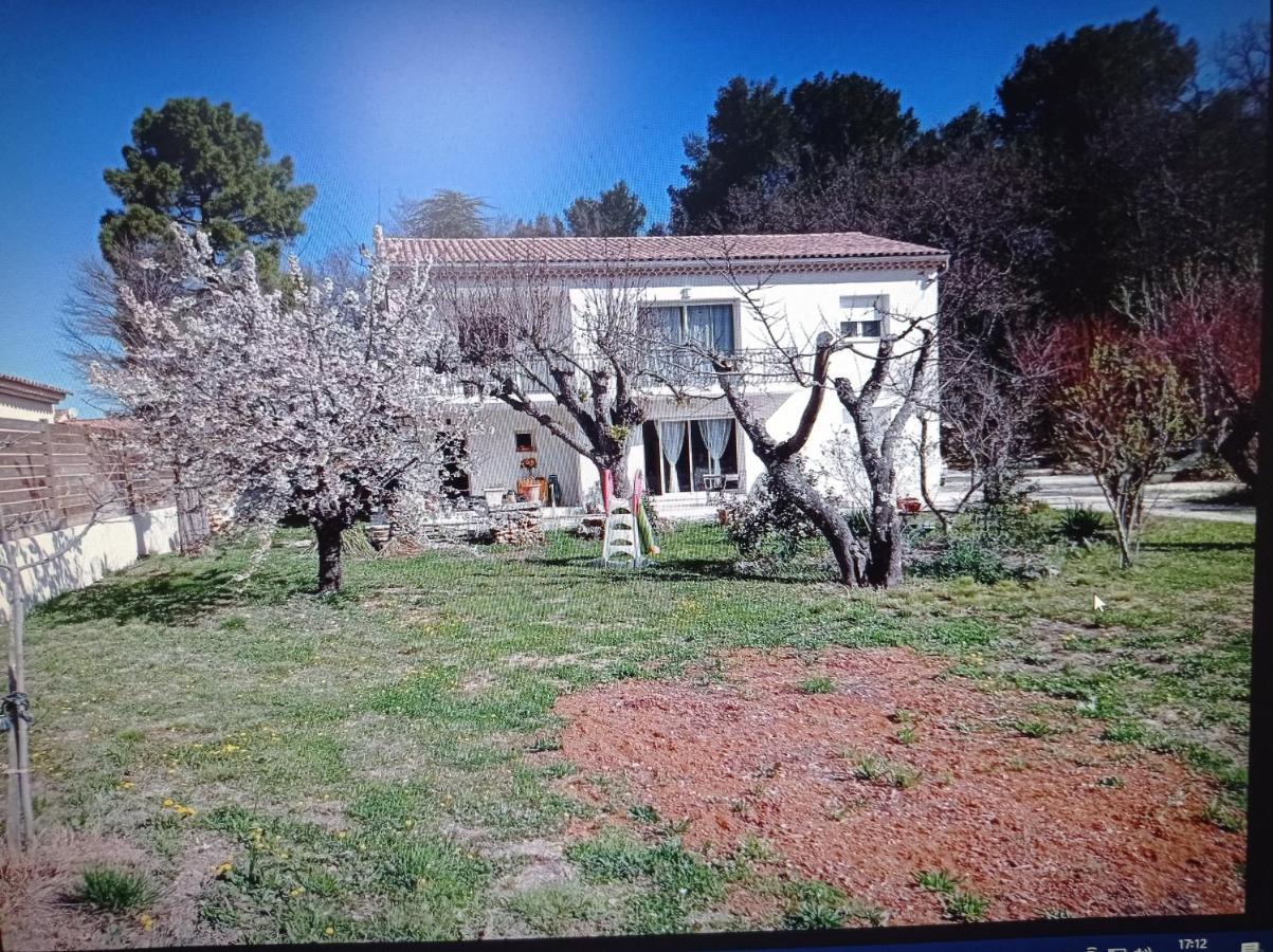 La Maison De Papou La Vigne A Nans Les Pins 83860 Extérieur photo