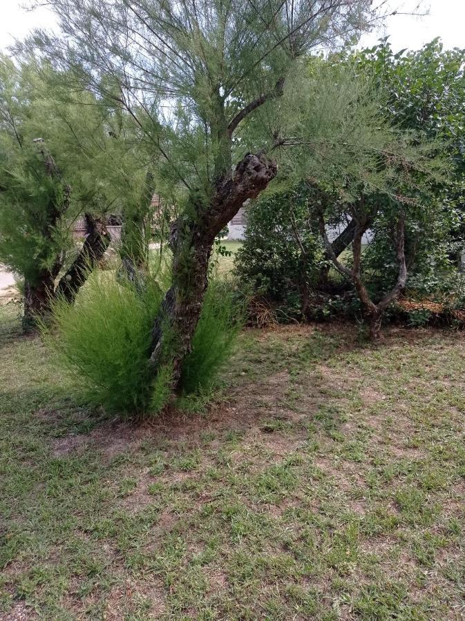 La Maison De Papou La Vigne A Nans Les Pins 83860 Extérieur photo